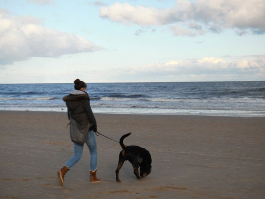 Leben mit reaktivem Hund - Dogs & Lifestyle