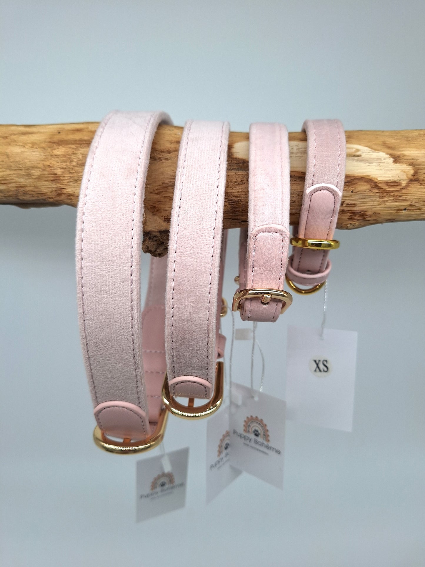 Halsband Samt & veganes Leder | rosa | Jetzt online kaufen bei Dogs & Lifestyle