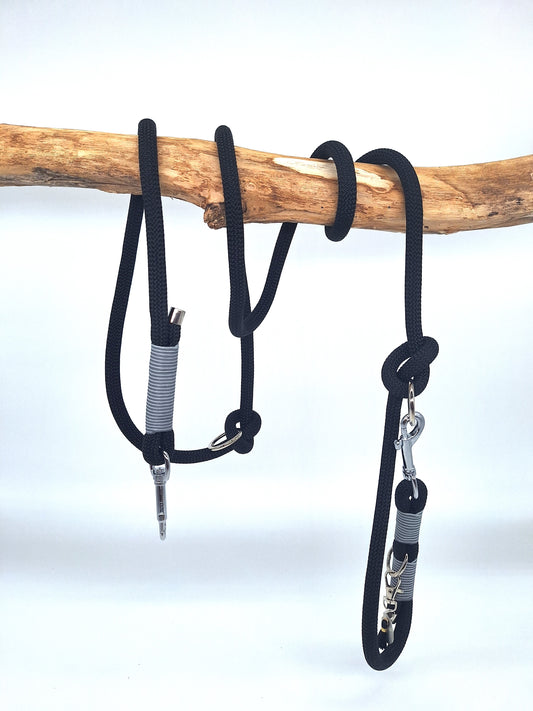 Frühlings-Bundle | dark Ivy | Jetzt online kaufen bei Dogs & Lifestyle