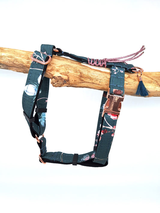 Hundegeschirr Alicia | grün mit floralem Muster | Jetzt online kaufen bei Dogs & Lifestyle