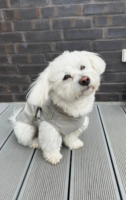 Hunde-Regenmantel | beige | Jetzt online kaufen bei Dogs & Lifestyle