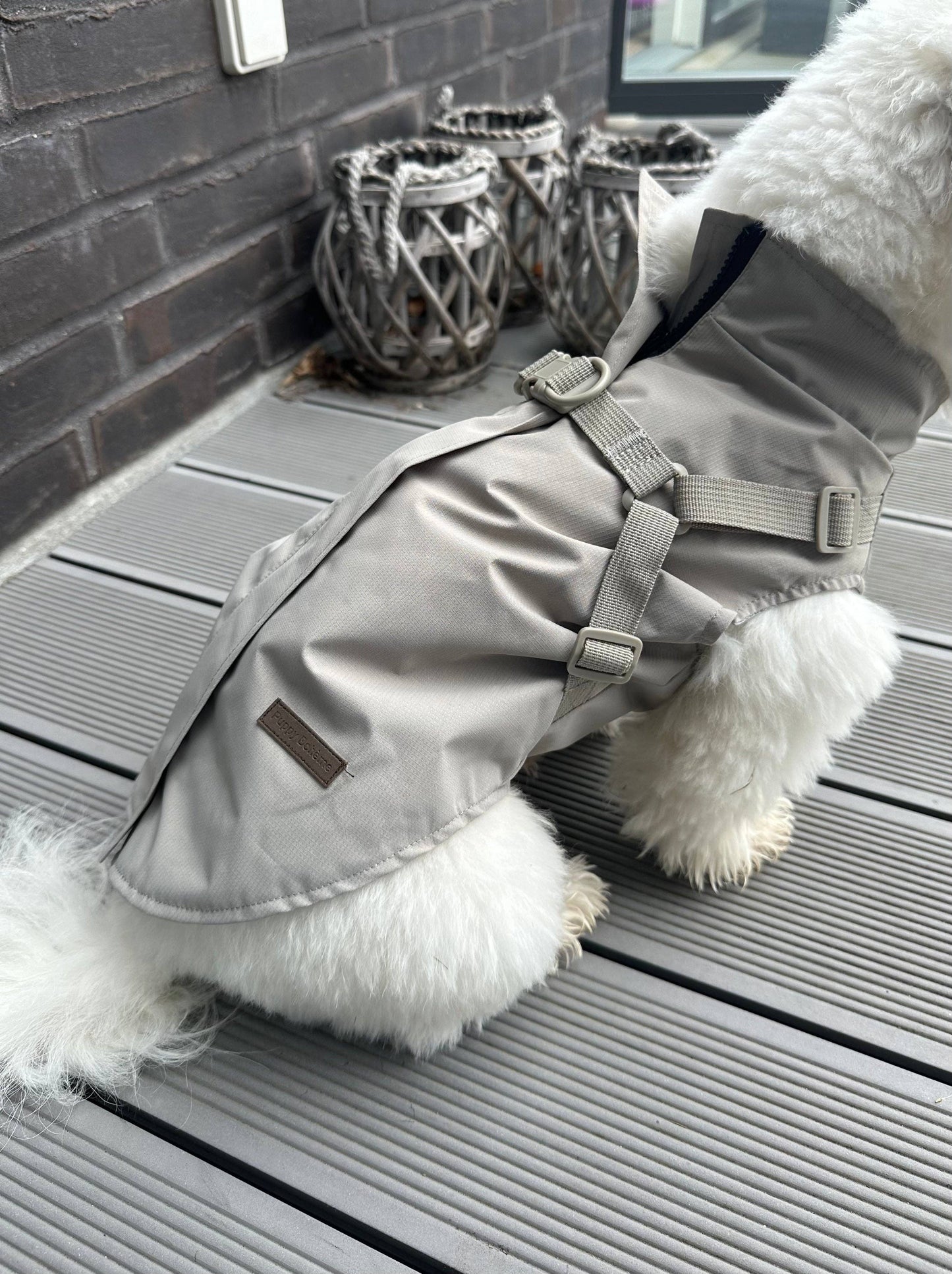 Hunde-Regenmantel | beige | Jetzt online kaufen bei Dogs & Lifestyle