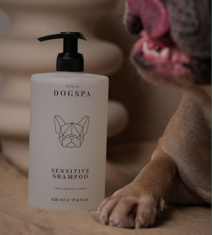 Sensitives Hundeshampoo | Jetzt online kaufen bei Dogs & Lifestyle