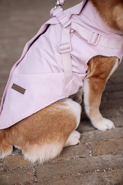Hunde-Regenmantel | pastellrosa | Jetzt online kaufen bei Dogs & Lifestyle