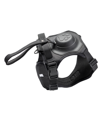 Hundegeschirr mit integrierter Leine | schwarz | Jetzt online kaufen bei Dogs & Lifestyle