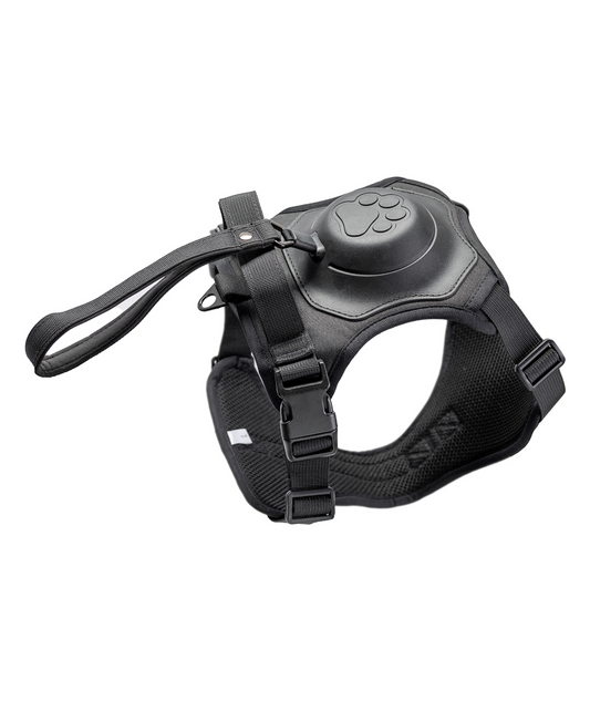 Hundegeschirr mit integrierter Leine | schwarz | Jetzt online kaufen bei Dogs & Lifestyle
