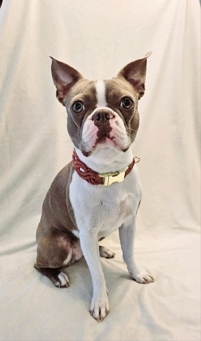 Makramee-Halsband | EM-Keramik- & Strass-Perlen | konfigurierbar | Jetzt online kaufen bei Dogs & Lifestyle