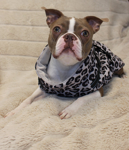 Hundemantel mit Geschirr | Leo-Print | Jetzt online kaufen bei Dogs & Lifestyle