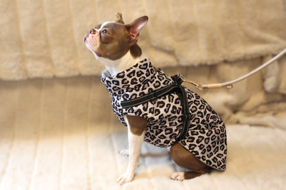 Hundemantel mit Geschirr | Leo-Print | Jetzt online kaufen bei Dogs & Lifestyle