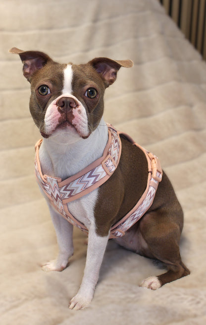 Hundegeschirr Ziggy | rosa | Jetzt online kaufen bei Dogs & Lifestyle