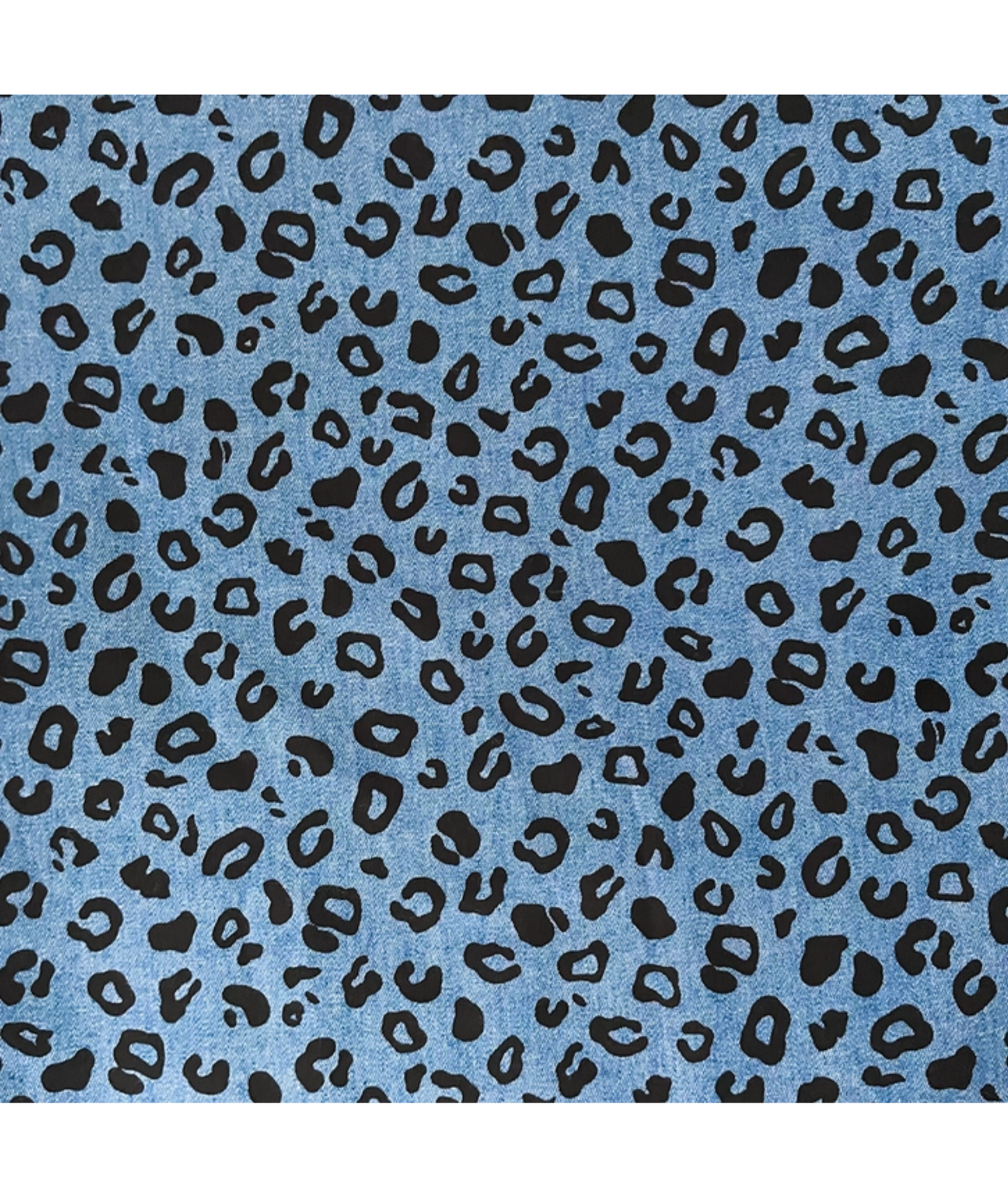 Halsband Victor | blau Leo | Jetzt online kaufen bei Dogs & Lifestyle