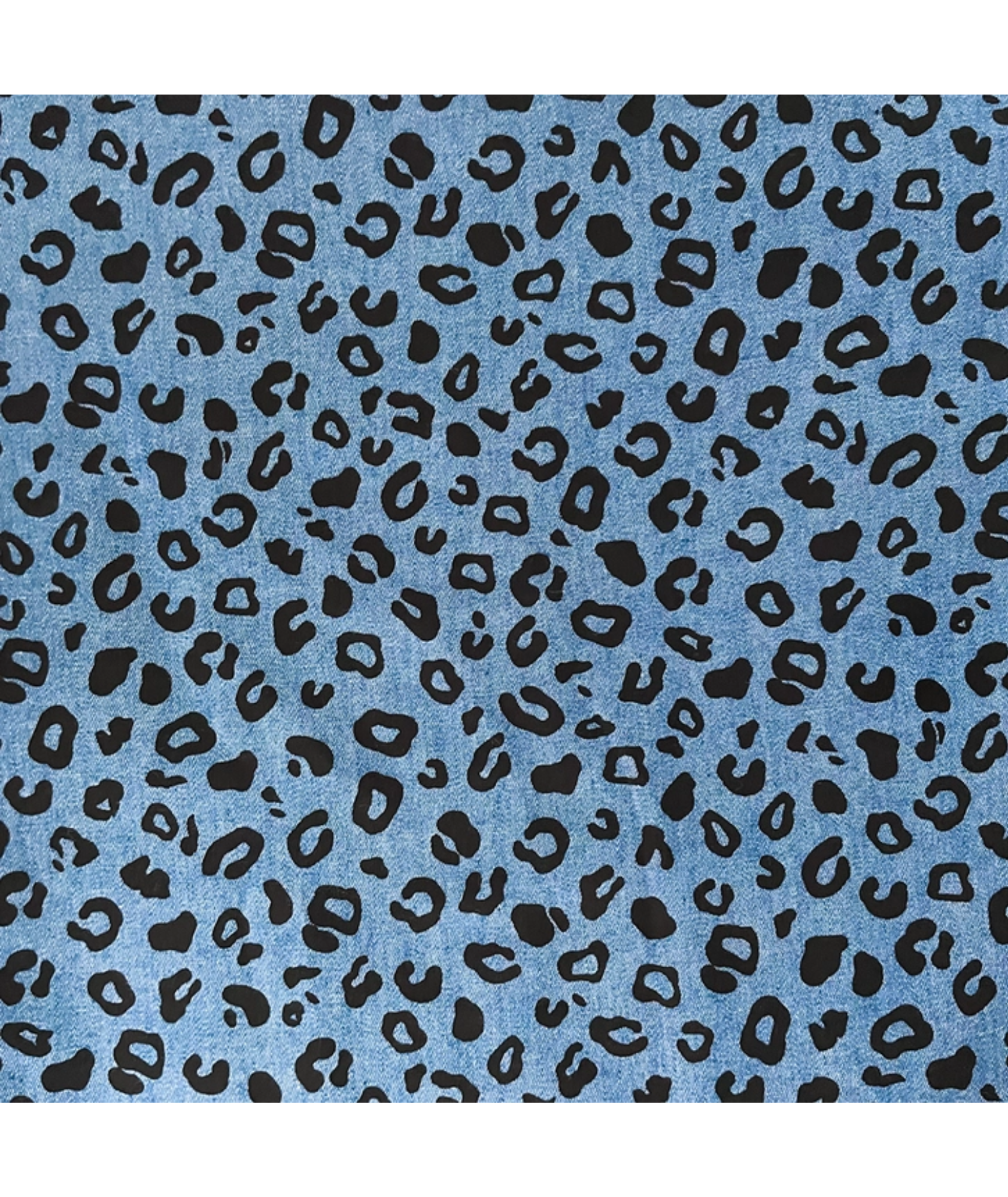 Halsband Victor | blau Leo | Jetzt online kaufen bei Dogs & Lifestyle