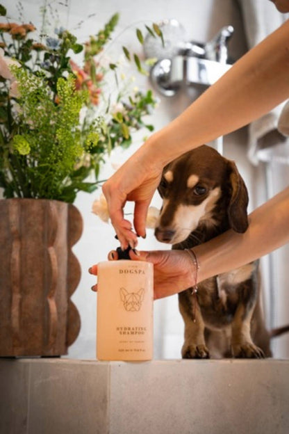 Hydratisierendes Hundeshampoo | Jasminduft | Jetzt online kaufen bei Dogs & Lifestyle