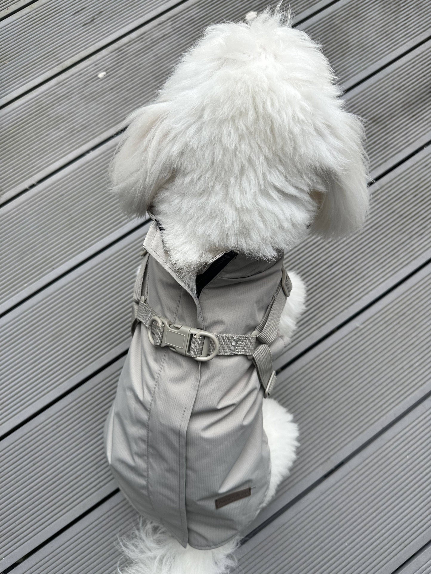 Hunde-Regenmantel | beige | Jetzt online kaufen bei Dogs & Lifestyle