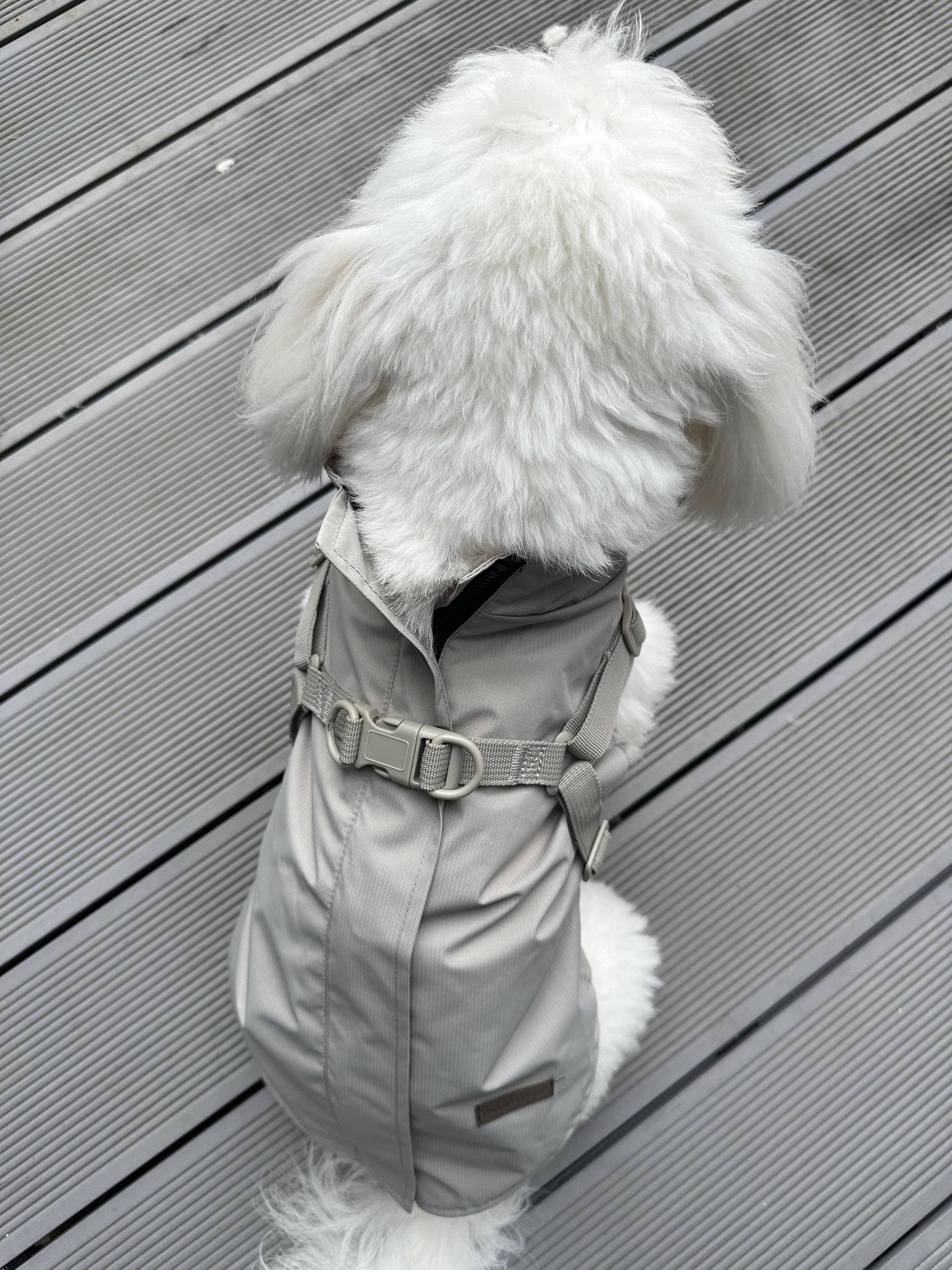 Hunde-Regenmantel | beige | Jetzt online kaufen bei Dogs & Lifestyle