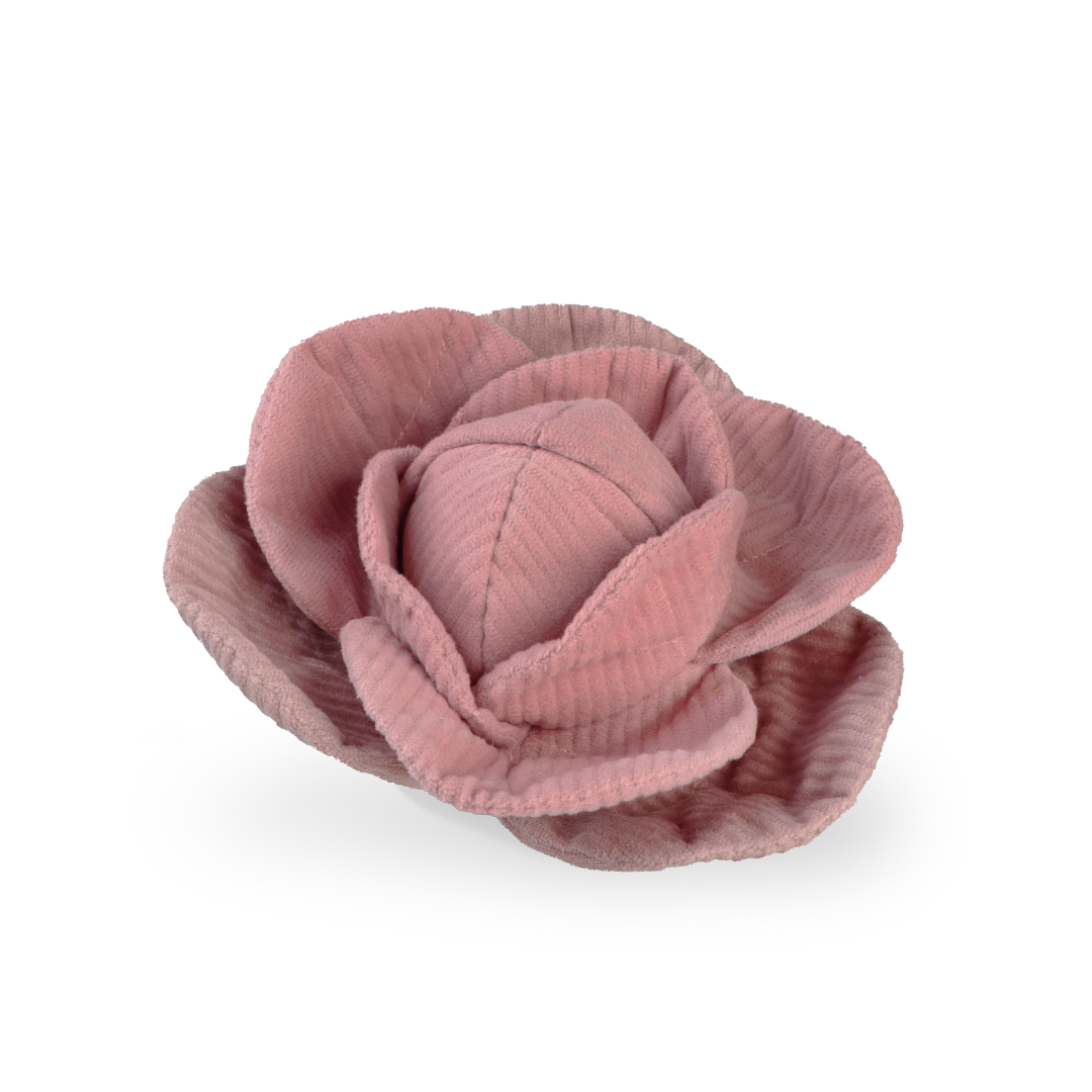 Hundespielzeug mit Belohnungseffekt | Kohl POPPI | versch. Varianten | Jetzt online kaufen bei Dogs & Lifestyle