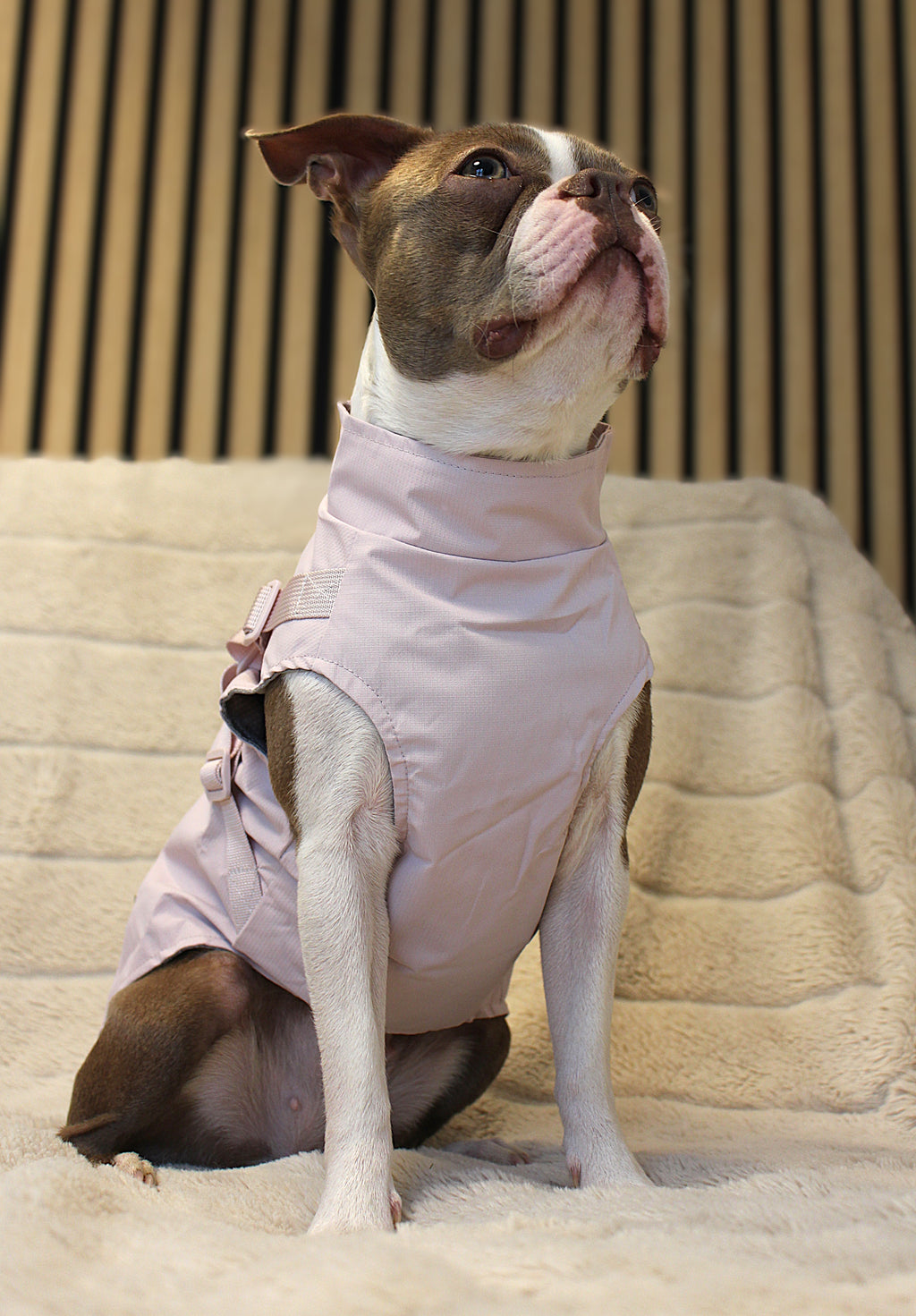 Hunde-Regenmantel | pastellrosa | Jetzt online kaufen bei Dogs & Lifestyle