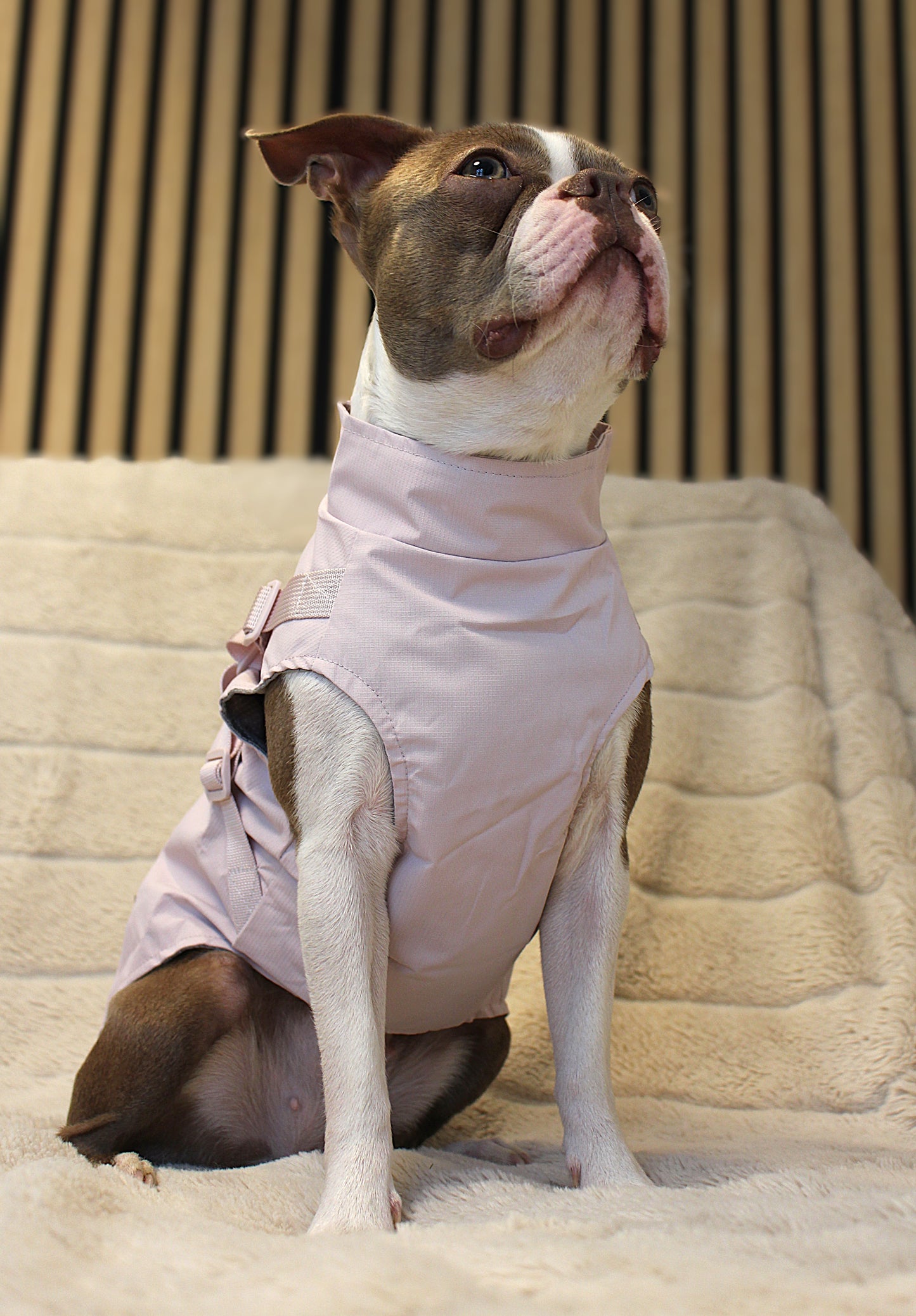 Hunde-Regenmantel | pastellrosa | Jetzt online kaufen bei Dogs & Lifestyle
