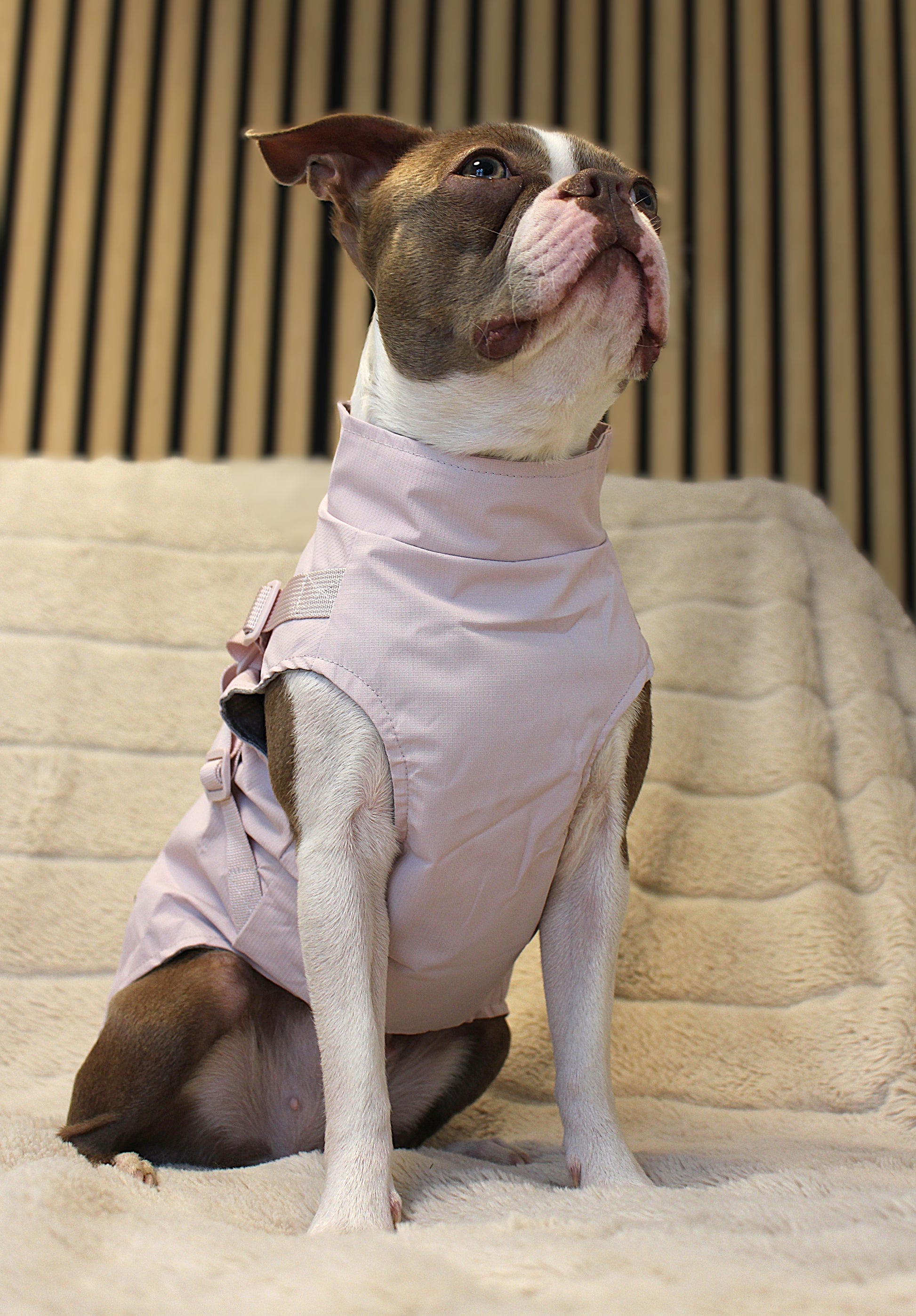 Hunde-Regenmantel | pastellrosa | Jetzt online kaufen bei Dogs & Lifestyle