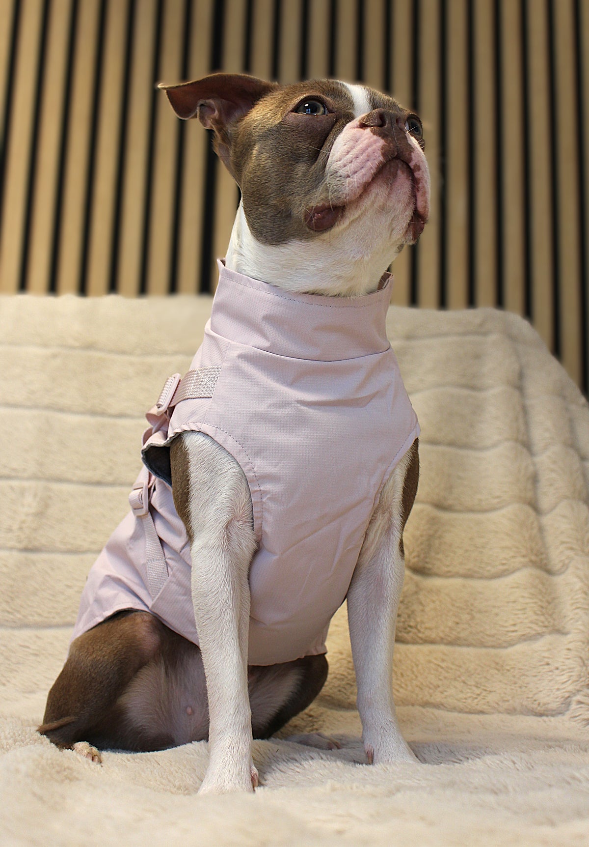 Hunde-Regenmantel | pastellrosa | Jetzt online kaufen bei Dogs & Lifestyle