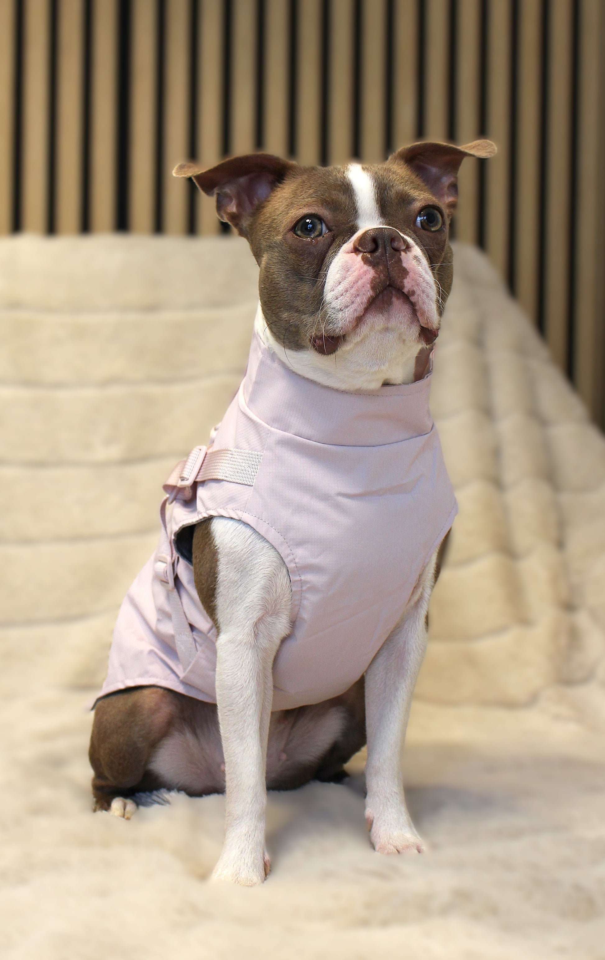 Hunde-Regenmantel | pastellrosa | Jetzt online kaufen bei Dogs & Lifestyle