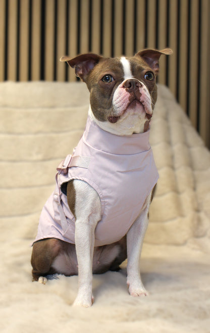 Hunde-Regenmantel | pastellrosa | Jetzt online kaufen bei Dogs & Lifestyle