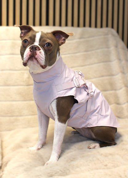Hunde-Regenmantel | pastellrosa | Jetzt online kaufen bei Dogs & Lifestyle