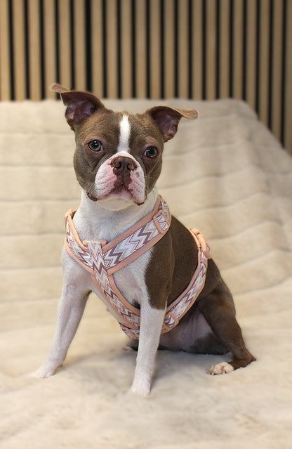 Hundegeschirr Ziggy | rosa | Jetzt online kaufen bei Dogs & Lifestyle